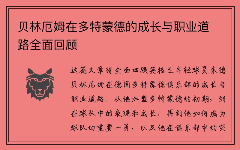 贝林厄姆在多特蒙德的成长与职业道路全面回顾