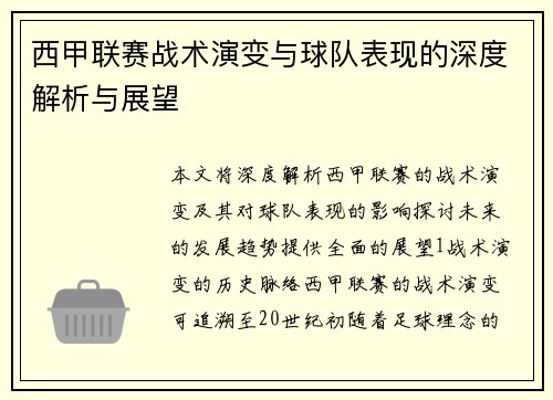 西甲联赛战术演变与球队表现的深度解析与展望