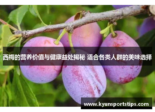 西梅的营养价值与健康益处揭秘 适合各类人群的美味选择
